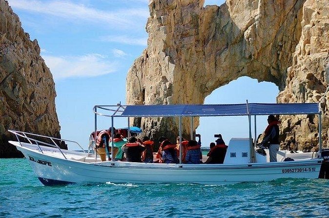 Shared walks to the arch of Cape San Lucas - Marine life and sea lions: the part that makes the short tour feel worth it