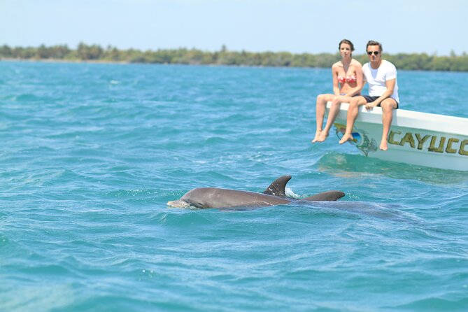 Sian Ka'an Adventure Full Day Trip to Punta Allen - Key highlights at a glance