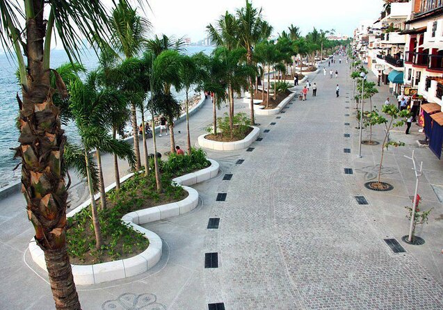 Signature Taco Tour in PV with Vallarta Eats - Key Points