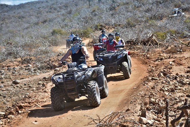 Single ATV Tour from Migriño Beach & Desert - Safety Gear, Rules, and Collision Insurance You Might Skip