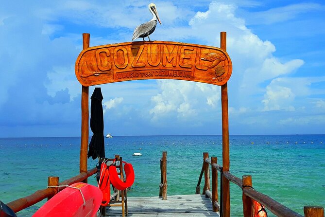SkyReef Cozumel Snorkel & Tequila Tasting - Tequila tasting: fun, guided, and worth pacing yourself