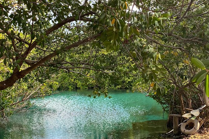 Small-Group 3 Cenotes Adventure Tour - Taak Bi Ha Cenote: Semi-Underground Light and Underwater Variety