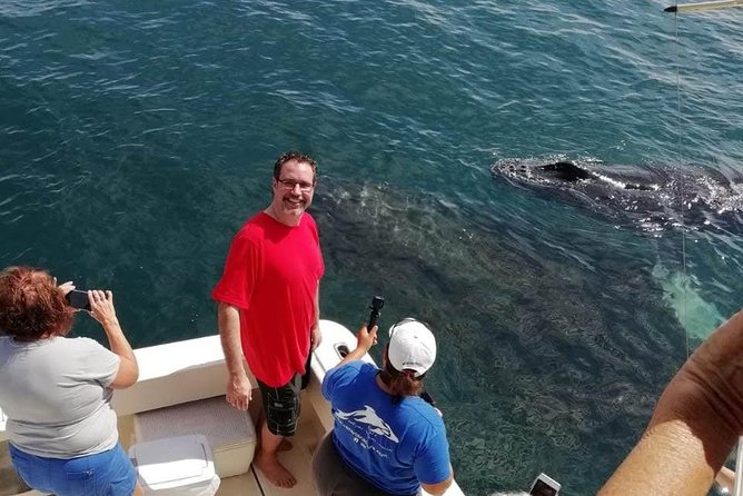 Small-Group Half-Day Whale-Watching Tour in Puerto Vallarta - Lunch and soft drinks: the part that keeps the half-day from feeling short
