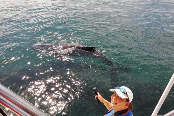 Small-Group Half-Day Whale-Watching Tour in Puerto Vallarta - Price value: is $110 a fair deal for Puerto Vallarta whale watching?