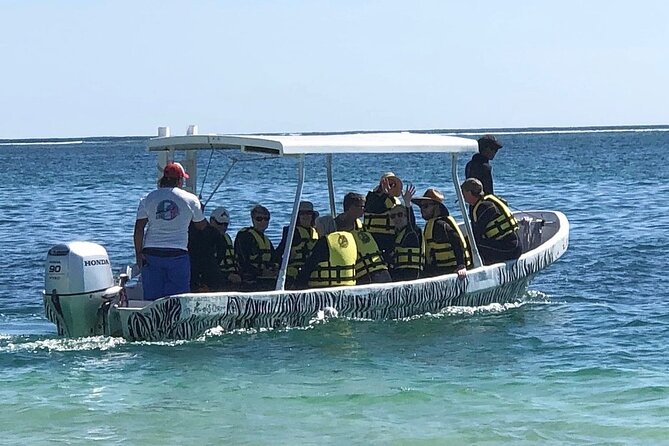 Small-Group Mesoamerican Barrier Reef Snorkeling in Puerto Morelos - Wet Set spot and short transfer, why meeting location matters