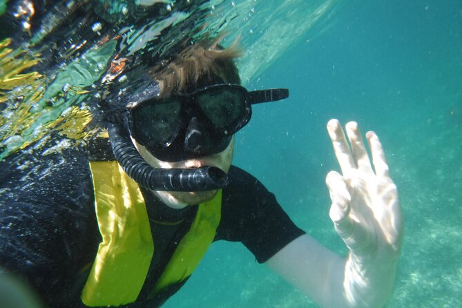 Small-Group Mesoamerican Barrier Reef Snorkeling in Puerto Morelos - Small group snorkeling with guides like Chris, Mario, Juan, and Eli