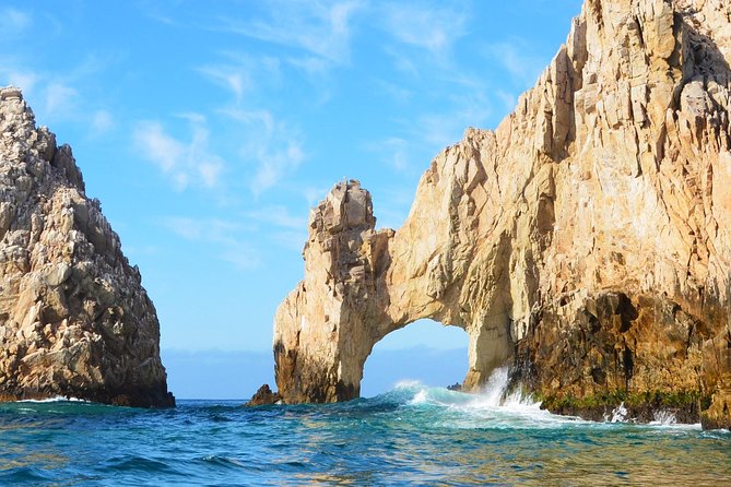 SMALL GROUP Whale Watch | Cabo San Lucas | Biologist | FREE Pics - Price and value: is $109 for 2.5 hours fair?