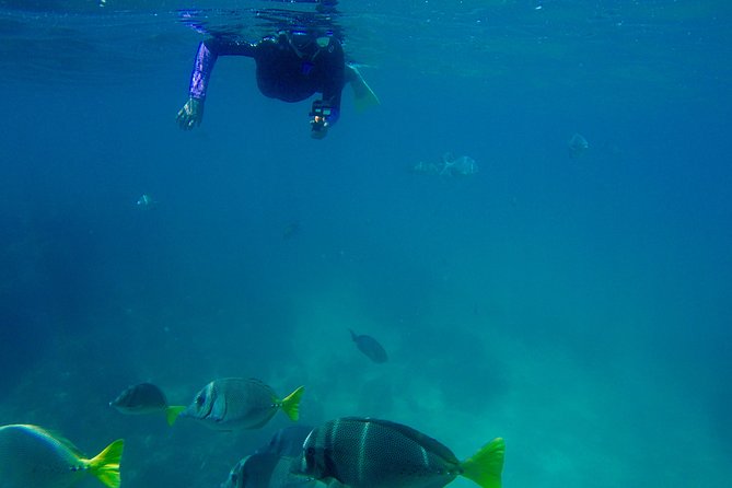 Snorkel Adventure and Hike to a Hidden Beach - The beach lunch moment: ceviche, guacamole, chips, and drinks
