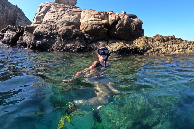 Snorkel and arch tour in los cabos - Meeting at the marina: how to show up smoothly