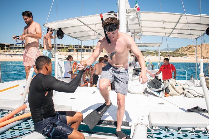 Snorkel Cruise in Los Cabos - Wildlife bonuses: sea lions and whales in season