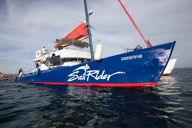 Snorkel, Lunch & Sail in Cabo San Lucas - El Arco, Pelican Rock, and Land’s End photos without the stress