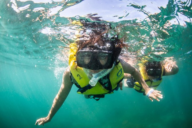 Snorkel, Lunch & Sail in Cabo San Lucas - Crew energy, group size, and family-friendliness