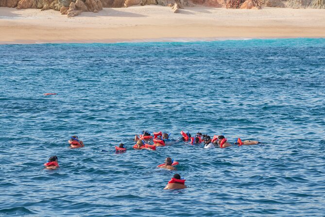 Snorkel & Sunset Sail in Cabo San Lucas - Boat Comfort, Crew Energy, and Staying in the Loop