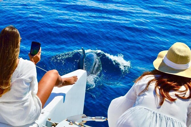 Snorkeling Catamaran Tour at Santa Maria Bay - The Cabo Water Route: Arch, Pelican Rock, Lover’s Beach, Sea Lions