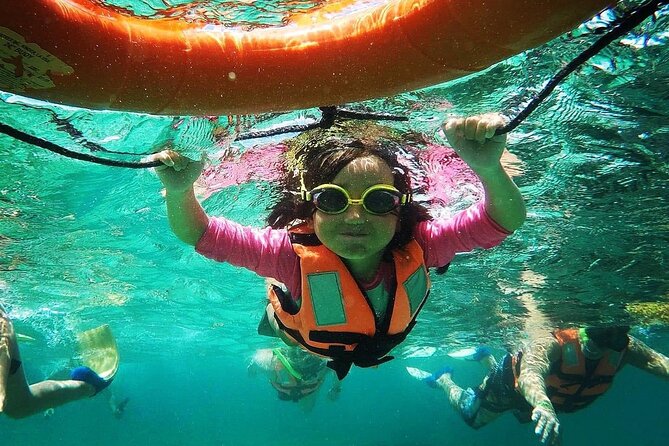 Snorkeling Guided Activity in Puerto Morelos Mexico - Why This Puerto Morelos Snorkel Costs Less Time (and Feels Fair at $42.92)
