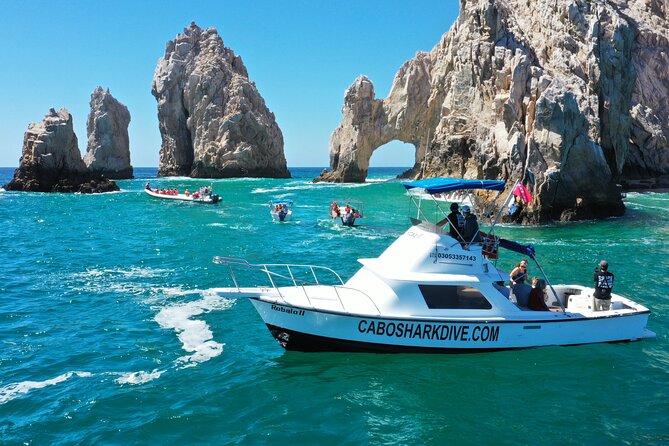 Snorkeling or Swimming with Sharks in Cabo San Lucas - Shark sightings are not guaranteed, and that’s the pricing reality