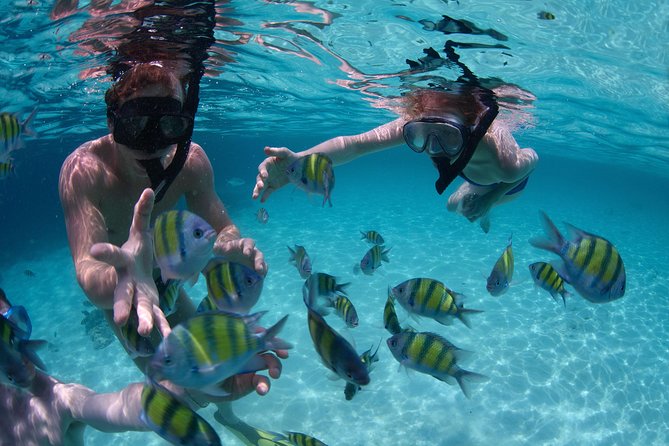 Snorkeling Tour at Land's End in Cabo San Lucas - The short boat ride to Pelican Rock (and what “45 minutes snorkeling” really means)