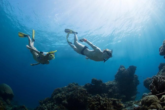 Snorkeling Tour at Land's End in Cabo San Lucas - Land’s End time at your pace: rocks, arches, and photo stops