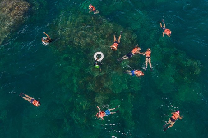 Snorkeling tour in Cabo San Lucas - Why Chileno Bay is the main event in Los Cabos