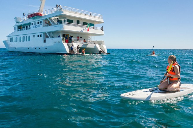Snorkeling tour in Cabo San Lucas - Meet-up, boat size, and the practical onboard details