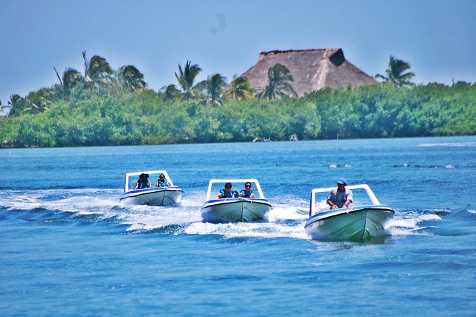 Speed Boat & Snorkel Tour with transportation ( only Cancun zone area) - Hotel Zone pickup and getting to Sealife Marina
