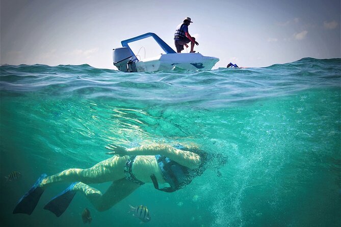 Speed Boat & Snorkel Tour with transportation ( only Cancun zone area) - Who should book, and who should skip this one