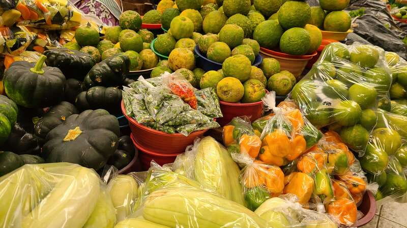 Street Food Walking Tour in Merida - Starting at Hotel Caribe and walking into Mérida’s market rhythm