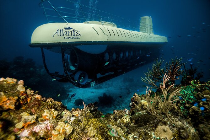 Submarine Atlantis Cozumel Adventure by Day & Sunset - Comfort on board: seats, sun, and small practical limits