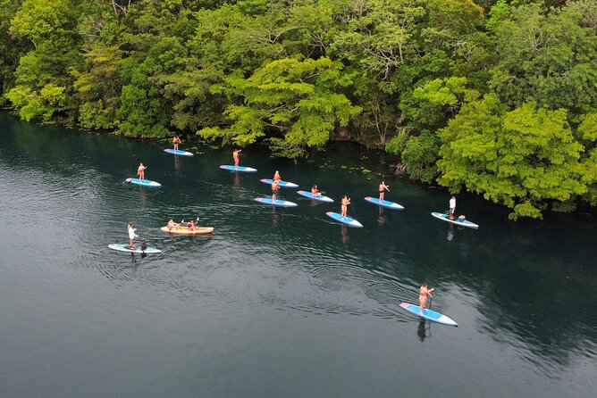 Sunrise by Paddle or Kayak with Floating Picnic - Choosing paddleboard vs kayak without regrets