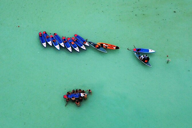 Sunrise by Paddle or Kayak with Floating Picnic - Guides like Adrián, Angelo, Án gel, and Pelu: what that means for your day