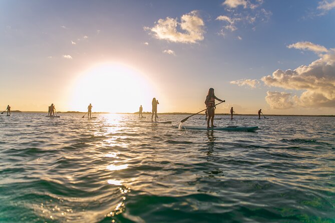 Sunrise by Paddle or Kayak with Floating Picnic - Cenote Esmeralda mirror water, and why it feels like cloud rowing