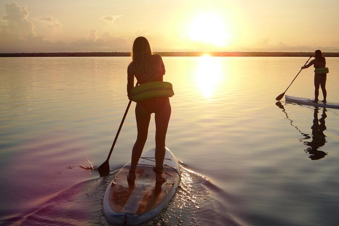 Sunrise Tour (Stand Up Paddle or Kayak) - Breakfast, Snacks, Equipment, and the Guide Factor