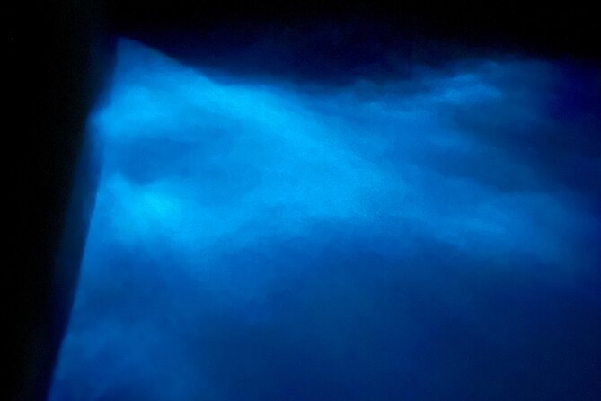 Sunset and Bioluminescence Boat Tour at Los Arcos Islands - How the bioluminescent glow works after dark