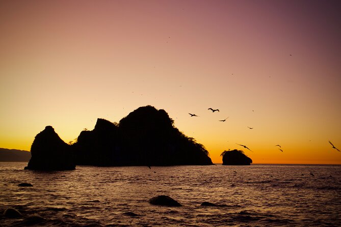 Sunset and Bioluminescence Boat Tour at Los Arcos Islands - Should you book the Sunset and Bioluminescence Boat Tour at Los Arcos?