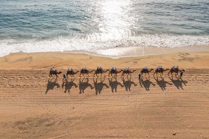 Sunset beach Camel ride with Mexican Buffet and Tequila Tasting - Key Points You’ll Feel Right Away