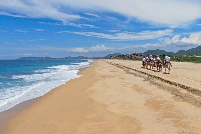 Sunset beach Camel ride with Mexican Buffet and Tequila Tasting - Meet-and-Greet With Camels: Up Close, but Follow the Rules