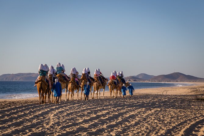 Sunset beach Camel ride with Mexican Buffet and Tequila Tasting - Timing and Pickup: Door-to-Door Can Run Long