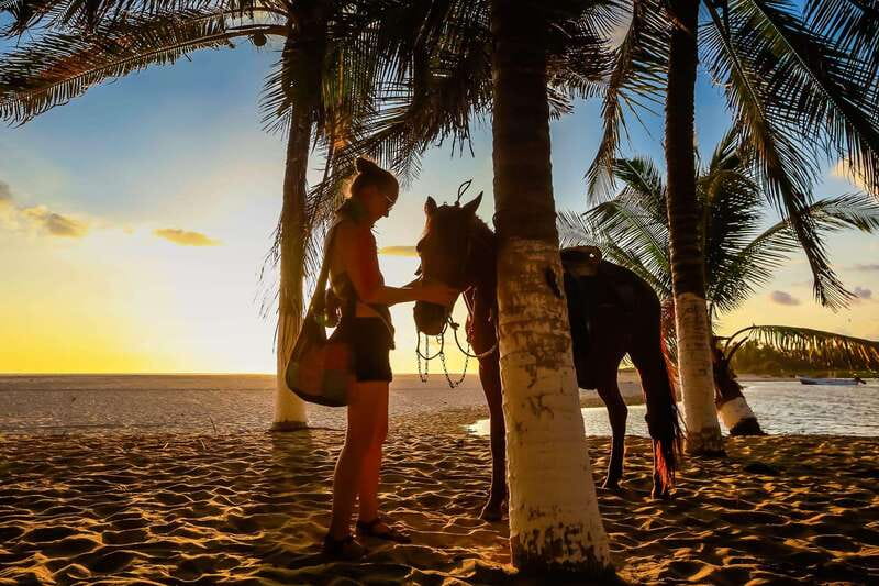 Sunset by Horse on the Beach - Learning the basics with authentic horse riders