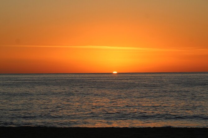 Sunset Whale Cruise in Cabo San Lucas - Marine biologist narration, hydrophone whale songs, and real names