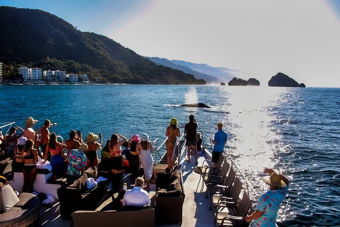 Sunsets and Whales Mega Yachts ALL INCLUSIVE: Puerto Vallarta - Why this sunset whale cruise makes sense in Puerto Vallarta