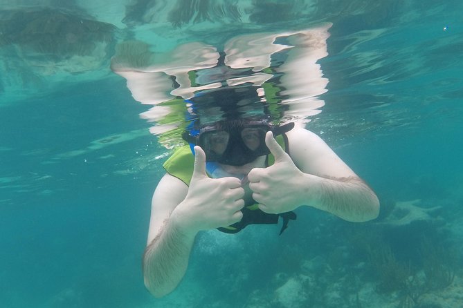 Swim with sea turtles - Akumal Beach Snorkel: The 1 Hour 15 Minute Flow