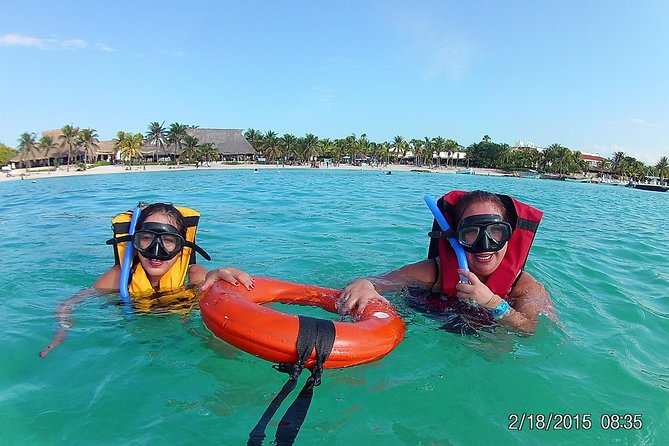 Swim with sea turtles - Wildlife Viewing Rules: Watch, Don’t Touch