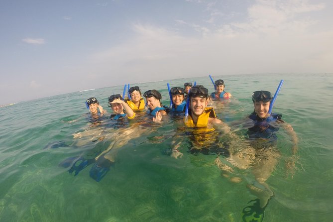 Swim with sea turtles - Where It Starts: Meeting Point at 9MXM+94 Akumal