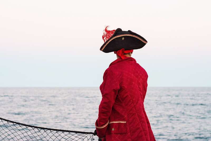 Thar She Blows! Whale Watching Pirate Cruise - Pirate ships, whale blows, and the Sea of Cortez in 2 hours