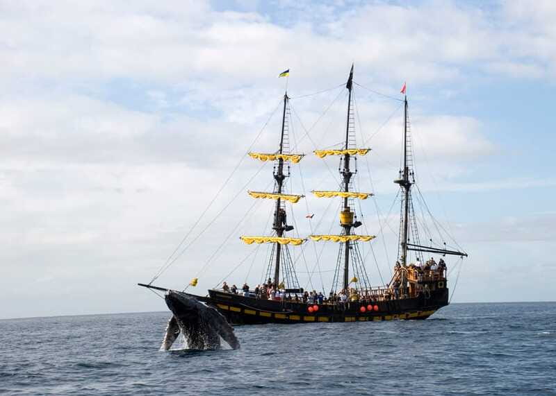 Thar She Blows! Whale Watching Pirate Cruise - What you eat and drink, and why it is more than a perk