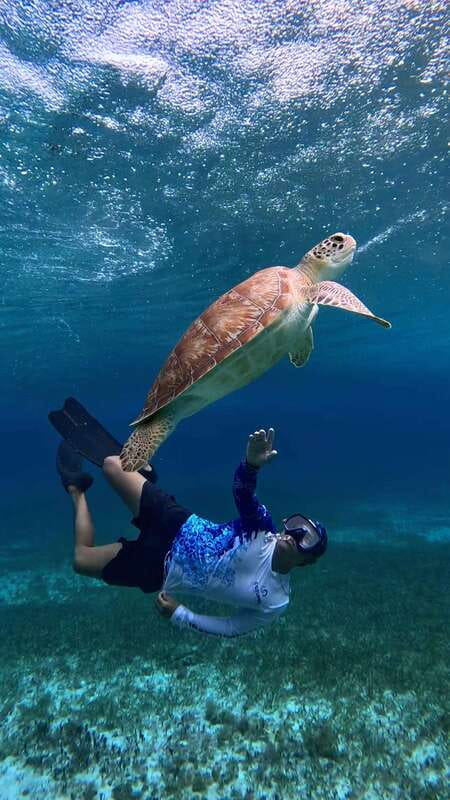 The Cozumel Turtle Sanctuary Snorkel Tour - Price and value: what $64 buys, and what you should budget for