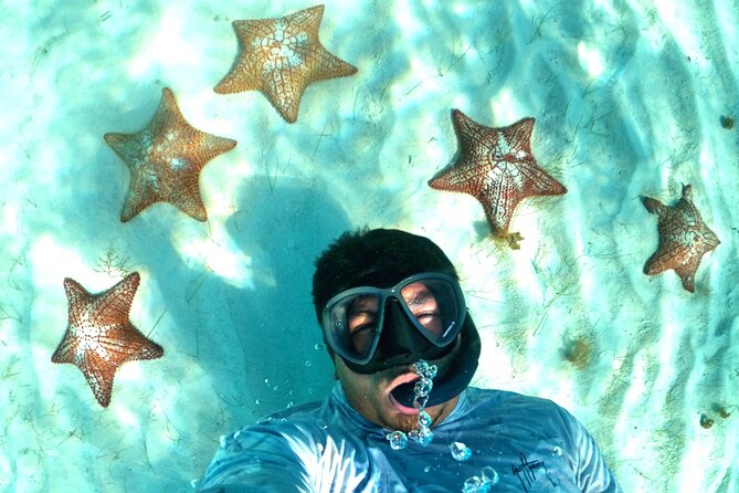 The Cozumel Turtle Sanctuary Snorkel Tour - El Cielo starfish sanctuary: white sand, red and orange starfish