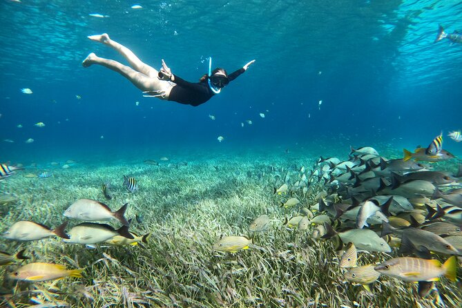 The Cozumel Turtle Sanctuary Snorkel Tour - Cielito, Little Heaven: snacks, drinks, and a sandbank break