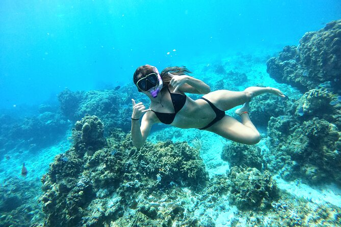 The Cozumel Turtle Sanctuary Snorkel Tour - Food and drinks: fresh ceviche, fruit, and adult-only alcohol limits