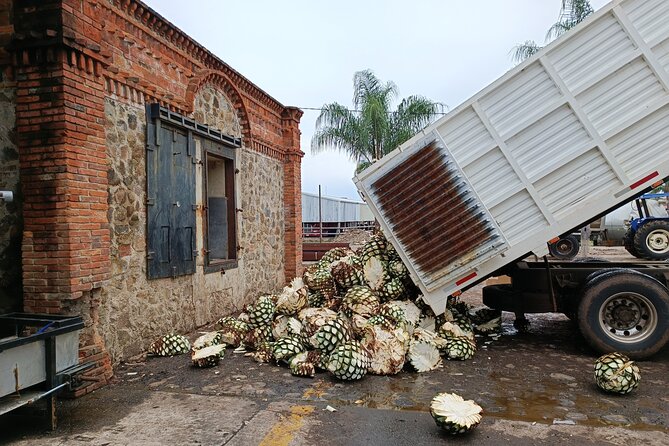 The Fire TOUR - Pyramids, Volcanoes, Agaves & Tequila - Should You Book the Fire Tour?